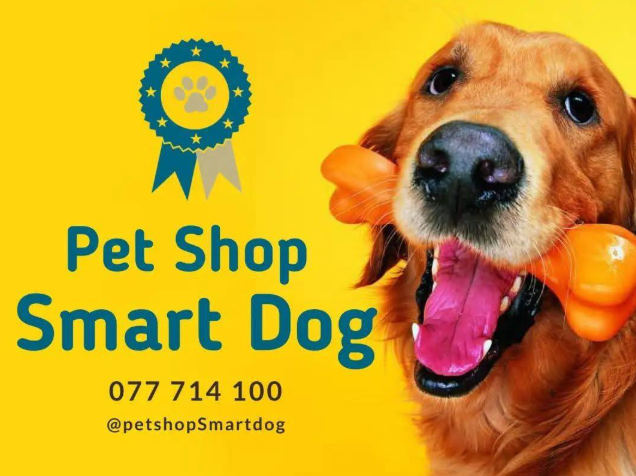 Pet Shop Smart Dog