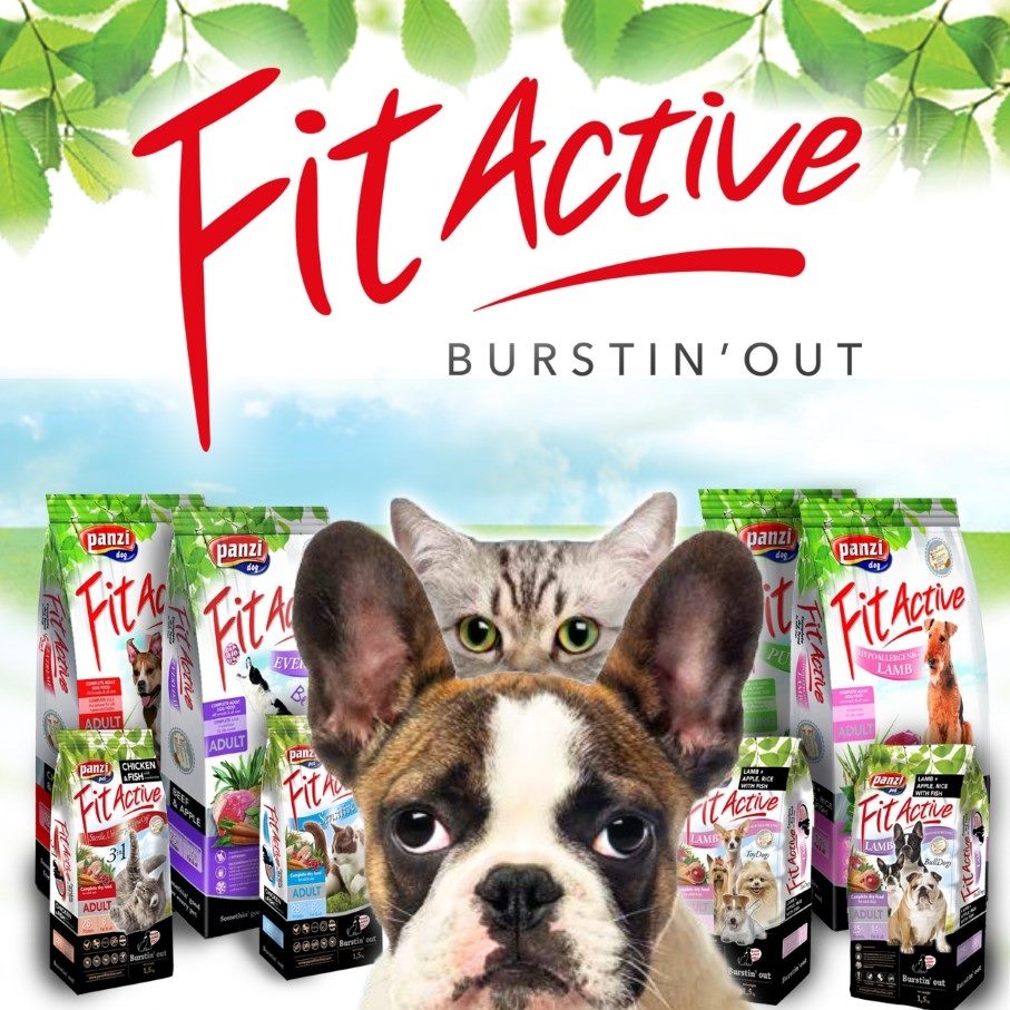 fitactive