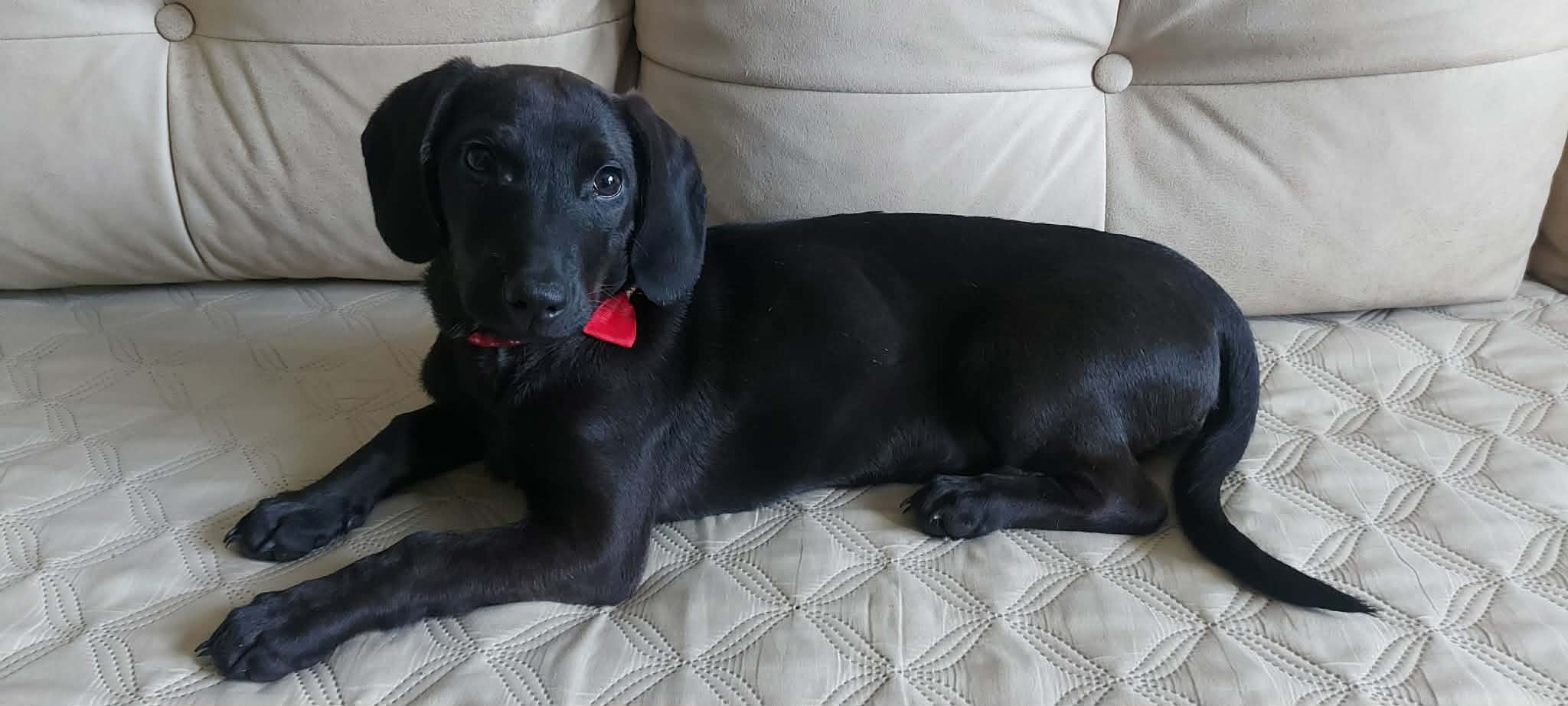 se podaruva mila demir hisar