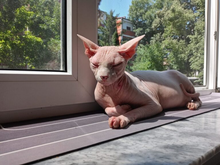 20260109134800f5c369bc