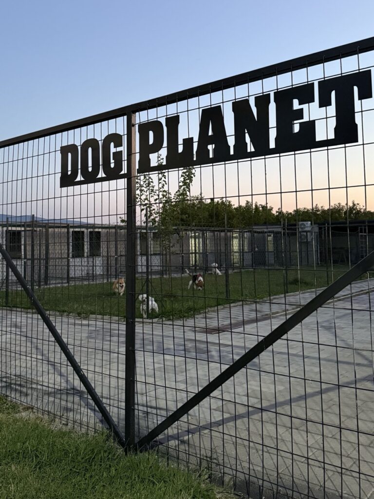 20260109140259a98c0ae6