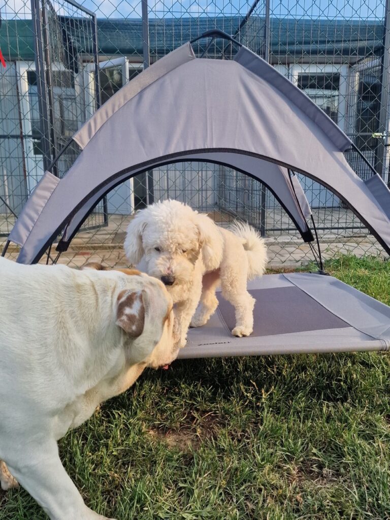 202601091403007a613bd3