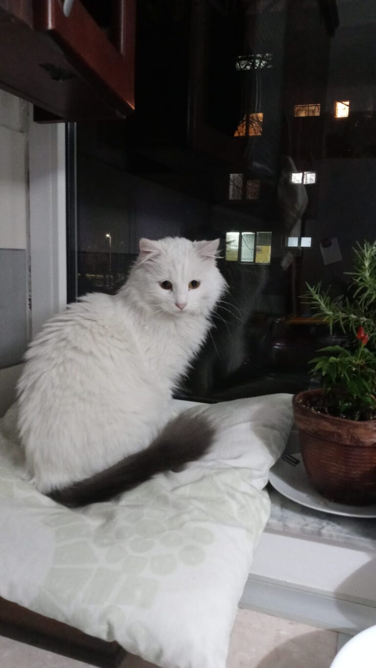 2026011020565341b937cb