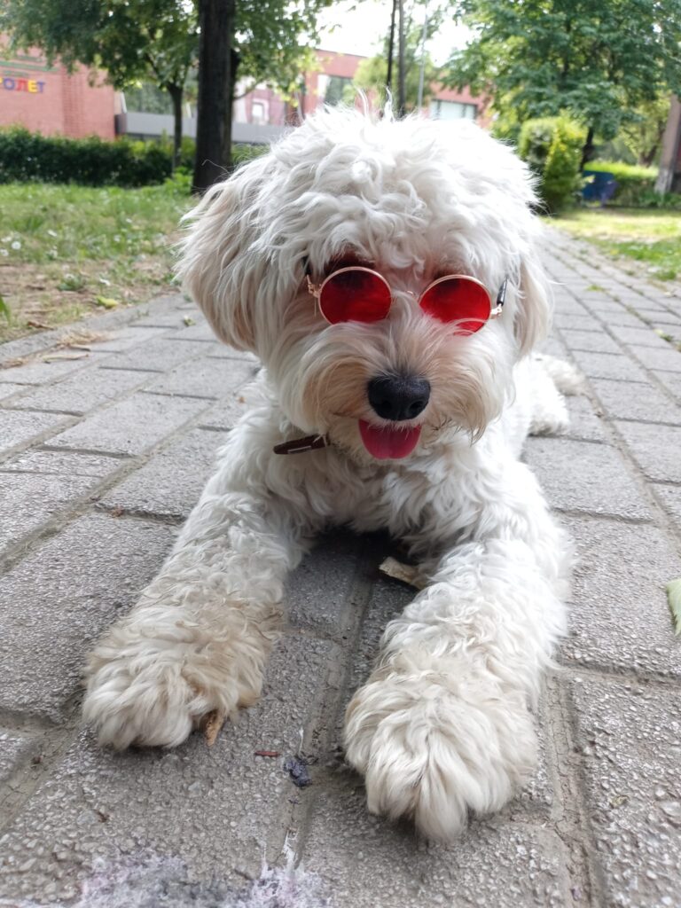 202601102056545128b9fb