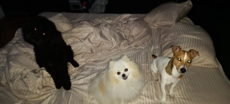 202601102056548eec57da