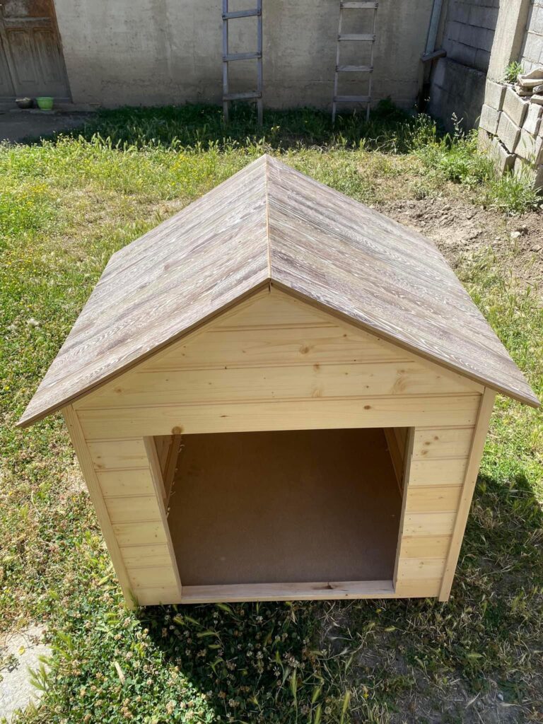 2026012919561013a15971