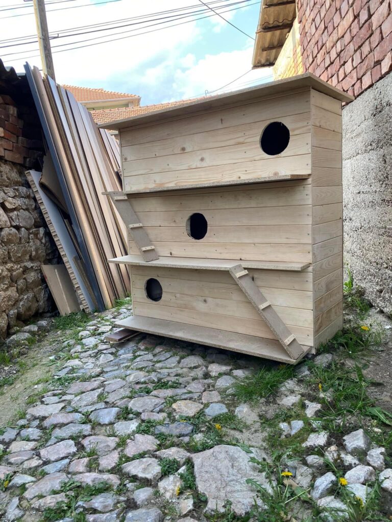 2026012919561162131d41