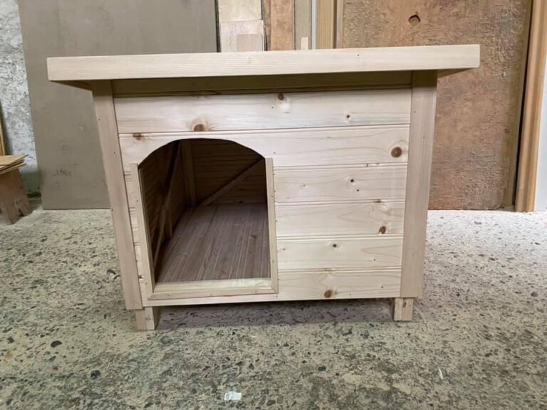 20260129195611ad76be2e