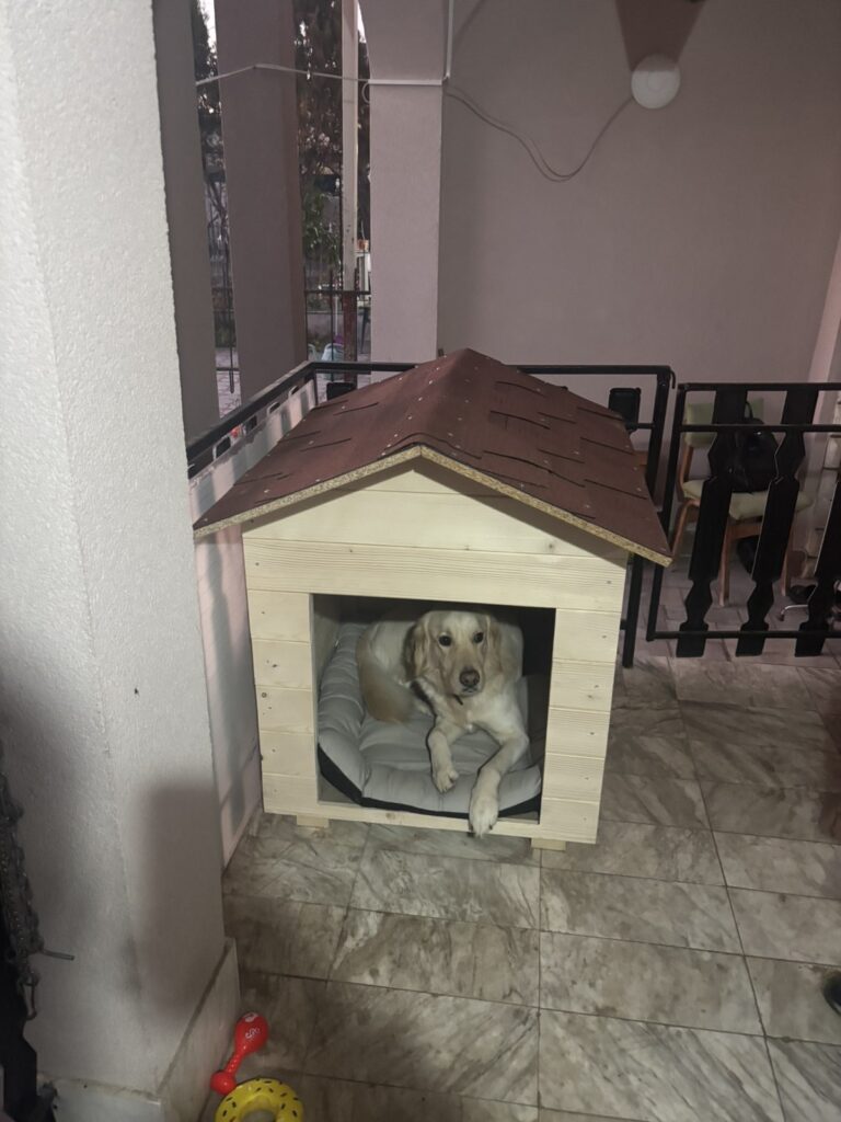 20260129195611bc008a18